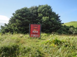 Adak National Forest
